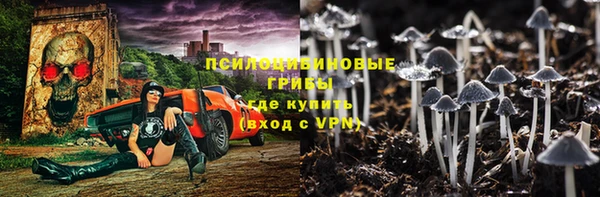 МДМА Новодвинск