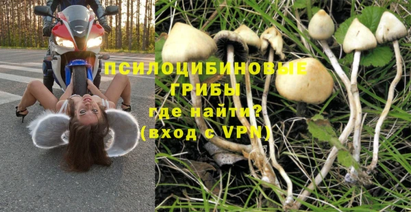 MDMA Premium VHQ Нязепетровск