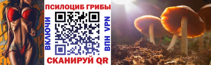 купить наркотики цена  Ливны  Псилоцибиновые грибы мицелий 
